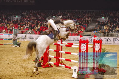 Kingsland CSI3 Medium Tour 140
Keywords: renee ulvsberg;blue cass de walyro