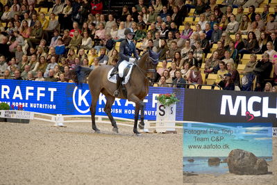 Vitamin Well Five Star Dressage / Vodskov Bolighus CDI5 Grand Prix Freestyle
Keywords: trude hestengen;christianslund furstino