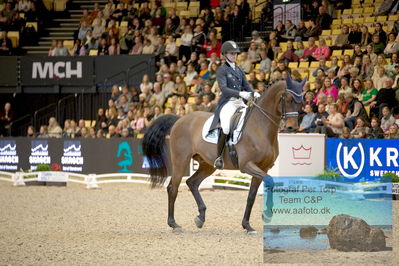 Vitamin Well Five Star Dressage / Vodskov Bolighus CDI5 Grand Prix Freestyle
Keywords: trude hestengen;christianslund furstino