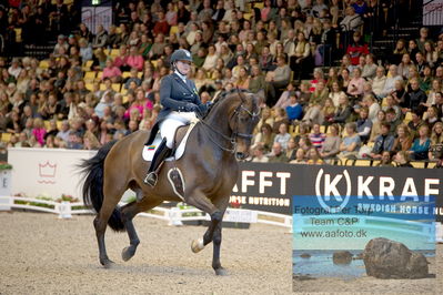 Vitamin Well Five Star Dressage / Vodskov Bolighus CDI5 Grand Prix Freestyle
Keywords: justina vanagaite;nabab