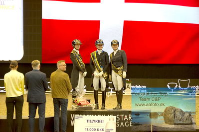 Vitamin Well Five Star Dressage / Vodskov Bolighus CDI5 Grand Prix Freestyle
Keywords: carina cassoe krüth;heiline&#039;s danciera;lone bang zindorff;nanna skodborg merrald;podie