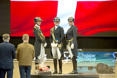 Vitamin Well Five Star Dressage / Vodskov Bolighus CDI5 Grand Prix Freestyle
Keywords: carina cassoe krüth;heiline&#039;s danciera;lone bang zindorff;nanna skodborg merrald;podie