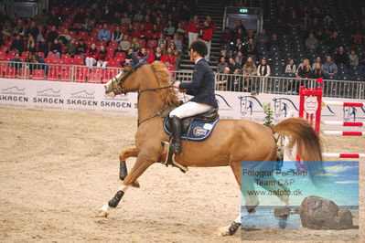 Fendt CSI3 Medium Tour LR 145
Keywords: eric ten cate;horsedeals notre-dame van't roosakker