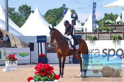 2023 Fager Bits 7-årschampionat | Semifinal
Keywords: pt;susanne barnow;skovdals dexter