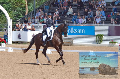 2023 CDI1 PSG - Prix St-Georges
Keywords: pt;linnea holmgren;sir dennis