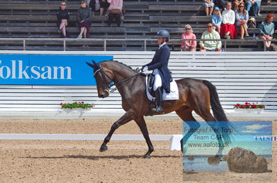 2023 CDI1 PSG - Prix St-Georges
Keywords: pt;rebecca cohen;jameson