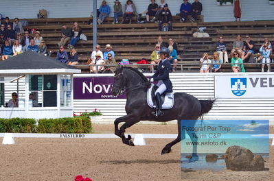 2023 CDI1 PSG - Prix St-Georges
Keywords: pt;carolina cordoba wolf;johnny cash