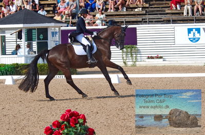 2023 CDI3 GP - Grand Prix (GP) by Hannell & Brink
Keywords: pt;anna tallberg;grevens zorro