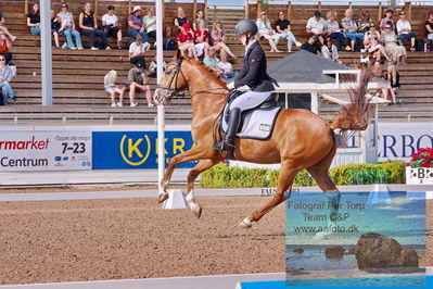 2023 Folksam Open 6-åriga hästar | Semifinal
Keywords: pt;june ranita mevil björnvik;ringbos znapchat