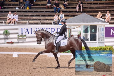 2023 Folksam Open 6-åriga hästar | Semifinal
Keywords: pt;johanna sterner;vangelis