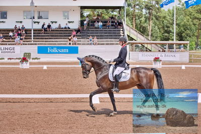 2023 Folksam Open 6-åriga hästar | Semifinal
Keywords: pt;trude hestengen;svalegaards hot boy