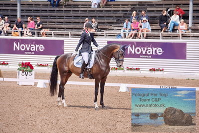 2023 Folksam Open 6-åriga hästar | Semifinal
Keywords: pt;trude hestengen;svalegaards hot boy