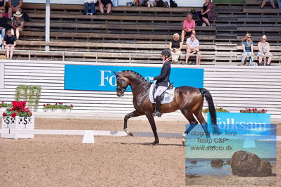 2023 Folksam Open 6-åriga hästar | Semifinal
Keywords: pt;trude hestengen;svalegaards hot boy