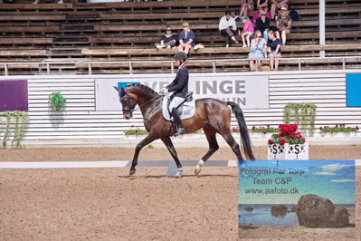 2023 Folksam Open 6-åriga hästar | Semifinal
Keywords: pt;trude hestengen;svalegaards hot boy