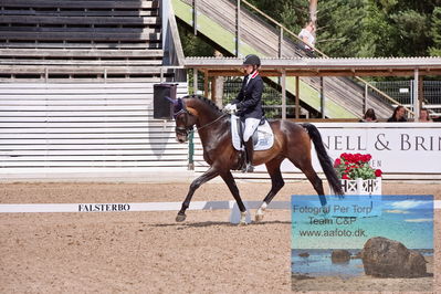 2023 Folksam Open 6-åriga hästar | Semifinal
Keywords: pt;trude hestengen;svalegaards hot boy