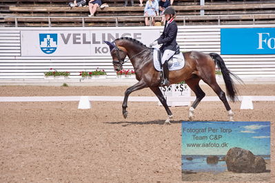 2023 Folksam Open 6-åriga hästar | Semifinal
Keywords: pt;trude hestengen;svalegaards hot boy