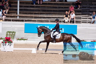 2023 Folksam Open 6-åriga hästar | Semifinal
Keywords: pt;trude hestengen;svalegaards hot boy