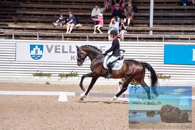 2023 Folksam Open 6-åriga hästar | Semifinal
Keywords: pt;trude hestengen;svalegaards hot boy