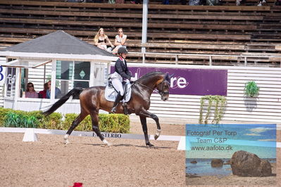 2023 Folksam Open 6-åriga hästar | Semifinal
Keywords: pt;trude hestengen;svalegaards hot boy