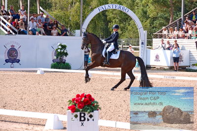 2023 CDI3 GP - Grand Prix (GP) by Hannell & Brink
Keywords: pt;anna tallberg;grevens zorro