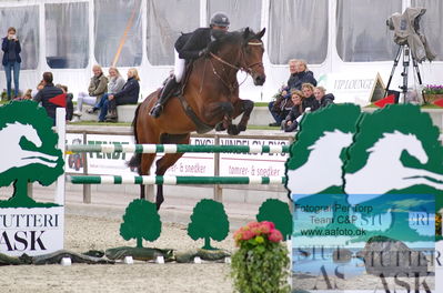 Alfarvad MA1 Springning Heste (135 cm) B7
Keywords: dm;pt;christian jansen;stenvangs daiquiri