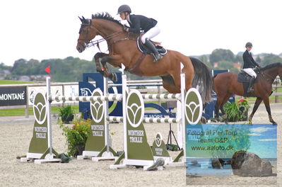 Alfarvad MA1 Springning Heste (135 cm) B7
Keywords: dm;pt;natasha tang kaspersen;boegegaardens graf-top