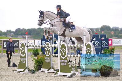 Alfarvad MA1 Springning Heste (135 cm) B7
Keywords: dm;pt;kamilla ladefoged rasmussen;colina 70