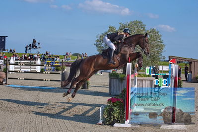 1. Kval. Agria DRF mesterskab U18 præsenteret af Vindeløv Byg - MA2 Springning Heste (140 cm)
Keywords: dm;pt;ditte wulff moeller;forrest dwb