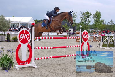 2. Kval. og Finale af Agria DRF Mesterskab U25 præsenteret af PAVO - S1 + S Springning Heste (145 cm + 150 cm)
Keywords: dm;pt;phillippa w linde;carreau of greenhill z