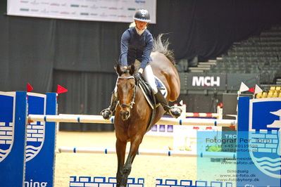 Easy Agri Care CSI2 Big Tour LR (238.2.2) 1.45m
Keywords: rikke rosengaard hansen;rosengaardens francois