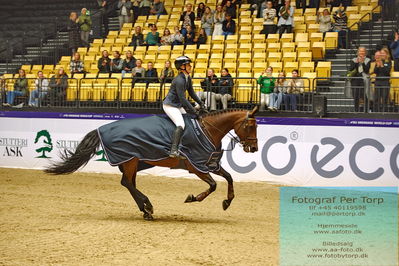 Easy Agri Care CSI2 Big Tour LR (238.2.2) 1.45m
Keywords: stine cassoe jacobsen;finette ask;lap of honour