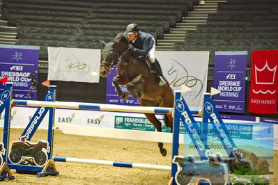 Stutteri Ask Grand Prix CSI2 (
Keywords: thore stieper;cool cat 12