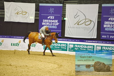 Stutteri Ask Grand Prix CSI2 (
Keywords: andreas schou;lady corlina