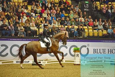 FEI Dressage World Cup Grand Prix
Keywords: devenda dijkstra;hero