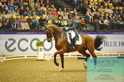 FEI Dressage World Cup Grand Prix
Keywords: anna zibrandtsen;quel filou