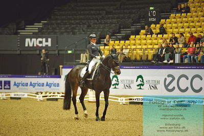 FEI Dressage World Cup Grand Prix
Keywords: felicitas hendricks;drombusch old