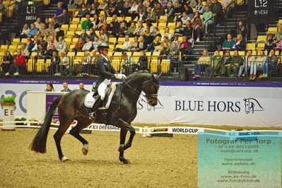 FEI Dressage World Cup Grand Prix
Keywords: felicitas hendricks;drombusch old