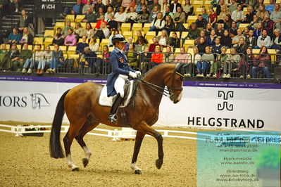 FEI Dressage World Cup Grand Prix
Keywords: tinne vilhelmson-silfven;devanto