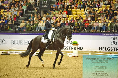 FEI Dressage World Cup Grand Prix
Keywords: denise nekerman;boston sth