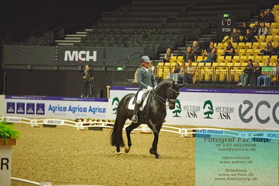 FEI Dressage World Cup Grand Prix
Keywords: corentin pottier;gotilas du feuillard