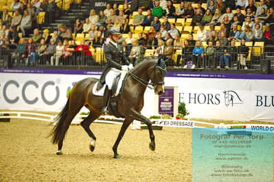 FEI Dressage World Cup Grand Prix
Keywords: raphael netz;great escape camelot