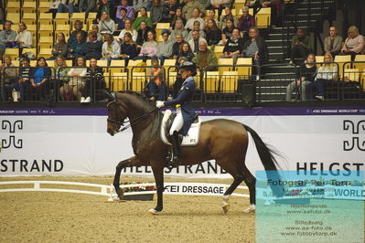 FEI Dressage World Cup Grand Prix Freestyle
Keywords: caroline darcourt;lord django