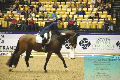 FEI Dressage World Cup Grand Prix Freestyle
Keywords: caroline darcourt;lord django