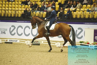 FEI Dressage World Cup Grand Prix Freestyle
Keywords: tinene vilhelmson silfven;devanto