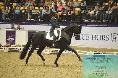 FEI Dressage World Cup Grand Prix Freestyle
Keywords: corentin pottier;gotilas du feuillard