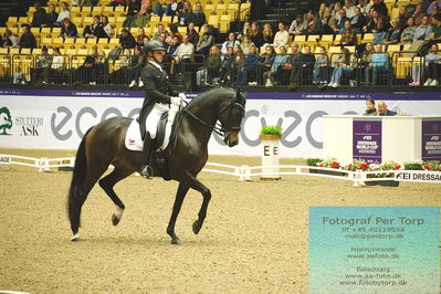 FEI Dressage World Cup Grand Prix Freestyle
Keywords: raphael netz;great escape camelot