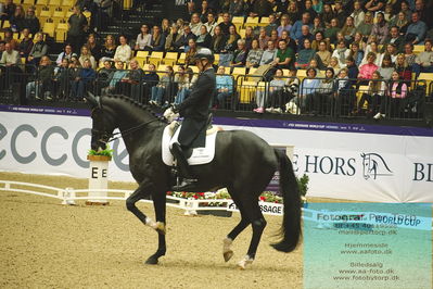 FEI Dressage World Cup Grand Prix Freestyle
Keywords: andreas helgstrand;queenparks wendy