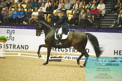 FEI Dressage World Cup Grand Prix Freestyle
Keywords: lone bang larsen;lone bang zindorff;thranegaardens rostov