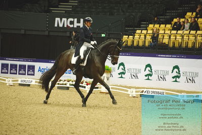 FEI Dressage World Cup Grand Prix Freestyle
Keywords: lone bang larsen;lone bang zindorff;thranegaardens rostov