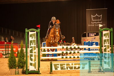 07 FENDT CSI3 Medium Tour (238.2.1) 1.40
Keywords: zascha nygaard lill;calato 9